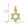 Lex & Lu 14k Yellow Gold 3D Polished Star of David Charm - 3 - Lex & Lu