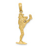 Lex & Lu 14k Yellow Gold 2D Baseball Pitcher On Mound Charm - 4 - Lex & Lu