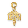 Lex & Lu 14k White Gold Textured RN and CADUCEUS Charm - 5 - Lex & Lu