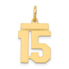 Lex & Lu 14k Yellow Gold Small Polished Number 15 Charm - Lex & Lu