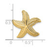 Lex & Lu 14k Yellow Gold Polished and Textured Starfish Slide - 3 - Lex & Lu