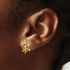 Lex & Lu 14k Yellow Gold w/Brown Enamel Tortoise Post Earrings - 3 - Lex & Lu