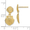 Lex & Lu 14k Yellow Gold Double Beaded Scallop Shell Dangle Earrings - 4 - Lex & Lu