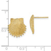 Lex & Lu 14k Yellow Gold Beaded Scallop Shell Post Earrings LALTE767 - 4 - Lex & Lu