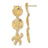 Lex & Lu 14k Yellow Gold Shell, Sand Dollar and Starfish Post Dangle Earrings - Lex & Lu