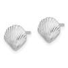 Lex & Lu 14k White Gold Scallop Shell Post Earrings LALTE782W - 2 - Lex & Lu