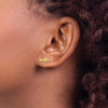 Lex & Lu 14k Yellow Gold Whale Post Earrings - 3 - Lex & Lu