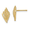 Lex & Lu 14k Yellow Gold Mini Conch Shell Post Earrings LALTE800 - Lex & Lu