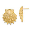 Lex & Lu 14k Yellow Gold Lion's Paw Shell Post Earrings LALTE811 - Lex & Lu