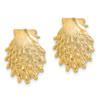 Lex & Lu 14k Yellow Gold Lion's Paw Shell Post Earrings LALTE811 - 2 - Lex & Lu