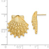 Lex & Lu 14k Yellow Gold Lion's Paw Shell Post Earrings LALTE811 - 4 - Lex & Lu