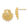 Lex & Lu 14k Yellow Gold Lion's Paw Shell Post Earrings LALTE831 - Lex & Lu