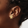 Lex & Lu 14k Yellow Gold Textured and Beaded Starfish Post Earrings - 3 - Lex & Lu