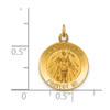 Lex & Lu 14k Yellow Gold Solid Polished/Satin Small St. Florian Medal Pendant - 3 - Lex & Lu