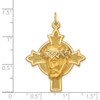 Lex & Lu 14k Yellow Gold Hollow Polished/Satin Medium Jesus Medal Pendant Cross - 4 - Lex & Lu