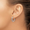 Lex & Lu 14k White Gold Lab Grown Dia. SI1/SI2, G H I, & Cr. Sapphire Earrings LAL746 - 3 - Lex & Lu