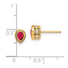 Lex & Lu 14k Yellow Gold Ruby and Diamond Earrings LAL1036 - 4 - Lex & Lu