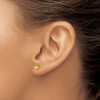 Lex & Lu 14k White Gold Round Citrine Earrings LAL1068 - 3 - Lex & Lu