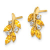 Lex & Lu 14k Yellow Gold Citrine and Diamond Earrings LAL1137 - 2 - Lex & Lu