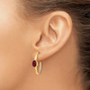 Lex & Lu 14k Yellow Gold Created Ruby and Diamond Earrings LAL1333 - 3 - Lex & Lu