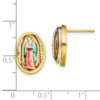 Lex & Lu Stainless Steel Polished Yellow IP Enamel Lady of Guadalupe Earrings - 4 - Lex & Lu