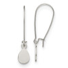 Lex & Lu Stainless Steel Polished Teardrop Dangle Kidney Wire Earrings - Lex & Lu