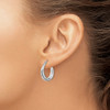 Lex & Lu Sterling Silver w/Rhodium Hoop Earrings LAL25359 - 3 - Lex & Lu