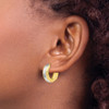 Lex & Lu 10k Gold w/White Rhodium Polished and D/C Hoop Earrings - 3 - Lex & Lu