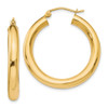 Lex & Lu 10k Yellow Gold Polished Lightweight Hoop Earrings LAL45682 - Lex & Lu