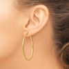 Lex & Lu 14k Yellow Gold 2mm Polished Hinged Hoop Earrings - 3 - Lex & Lu