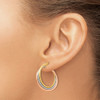 Lex & Lu 14k Tri-color Gold Polished and Textured Twisted Hoop Earrings - 3 - Lex & Lu