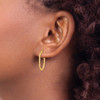 Lex & Lu 14k Yellow Gold Polished Oval Hinged Hoop Earrings - 3 - Lex & Lu
