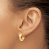 Lex & Lu 14k Yellow Gold Polished Hoop Earrings LAL46848 - 3 - Lex & Lu