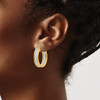 Lex & Lu 14k Yellow Gold Polished Glimmer Infused Oval Hoop Earrings - 3 - Lex & Lu