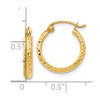 Lex & Lu 10k Yellow Gold D/C Hinged Hoop Earrings LAL48519 - 4 - Lex & Lu