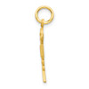 Lex & Lu 10k Yellow Gold Solid Registered Nurse Charm LAL72397 - 2 - Lex & Lu