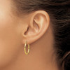 Lex & Lu 10k Yellow Gold Textured Hollow Oval Hoop Earrings - 3 - Lex & Lu