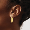 Lex & Lu 10k Yellow Gold Textured Oval Hollow Hoop Earrings LAL72671 - 3 - Lex & Lu