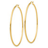 Lex & Lu 10k Yellow Gold Polished 2.5mm Round Hoop Earrings LAL72764 - 2 - Lex & Lu