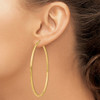 Lex & Lu 10k Yellow Gold Polished 2.5mm Round Hoop Earrings LAL72764 - 3 - Lex & Lu