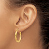 Lex & Lu 10k Yellow Gold Polished 3mm Round Hoop Earrings LAL72771 - 3 - Lex & Lu