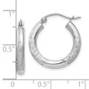 Lex & Lu 10k White Gold Satin & D/C 3mm Round Hoop Earrings LAL72834 - 4 - Lex & Lu