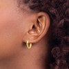 Lex & Lu 10k Yellow Gold Satin & D/C 3mm Round Hoop Earrings LAL72842 - 3 - Lex & Lu