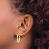 Lex & Lu 10k Yellow Gold Textured Oval Hollow Hoop Earrings LAL72892 - 3 - Lex & Lu