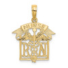 Lex & Lu 14k Yellow Gold Registered Nurse Charm - Lex & Lu