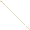 Lex & Lu 14k Yellow Gold Oval Link Chain Anklet 9'' LALANK244-9 - 2 - Lex & Lu