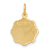 Lex & Lu 14k Yellow Gold Registered Nurse Disc Charm LAL73571 - 3 - Lex & Lu