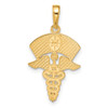 Lex & Lu 14k Yellow Gold Caduceus w/Nurses Cap Pendant - 3 - Lex & Lu