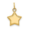 Lex & Lu 14k Yellow Gold 3-D Puffed Star Charm - Lex & Lu