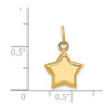 Lex & Lu 14k Yellow Gold 3-D Puffed Star Charm - 4 - Lex & Lu